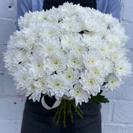 Белая кустовая хризантема - купить с доставкой в Ижевске