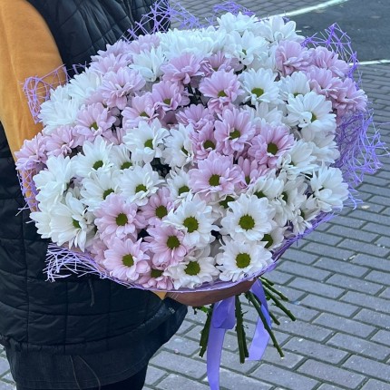букет из розовой кустовой хризантемы - купить с доставкой в Ижевске