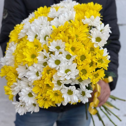 Букет из разноцветных хризантем - купить с доставкой в Ижевске