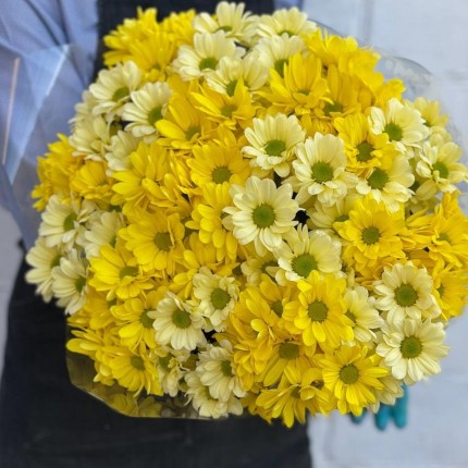 желтая кустовая хризантема - купить с доставкой в Ижевске